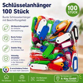 100 Schlüsselschilder mit Ring zum Beschriften bunt Schlüsselanhänger