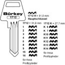 1712-H Hauptschlüssel für ASSA AA110R,AA107R,