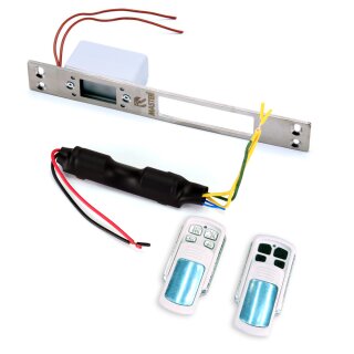 Master Electric Strike Türöffner 12 Volt mit zwei Fernbedienungen BAS-12K