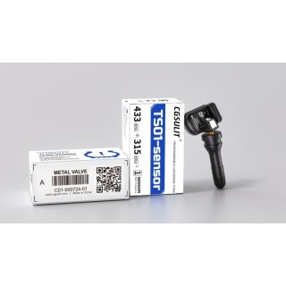 CgSulit TS-01 TPMS Sensor Metall