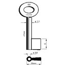 Stahlschlüssel Vollbart Ø5,5mm gerader Bart...
