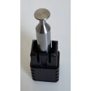 ICS T Taster