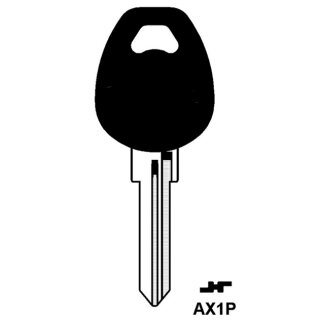 AX1P    Fahrzeugschlüssel