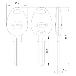 AX1RP - Fahrzeugschlüssel