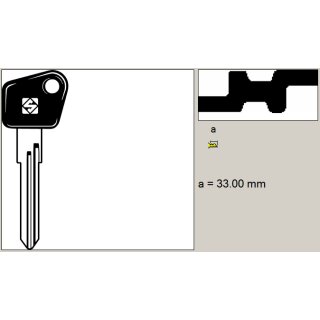 WAS7P   -   Fahrzeugschlüssel