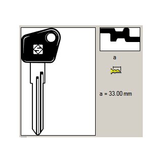 WAS7RP        - Fahrzeugschlüssel