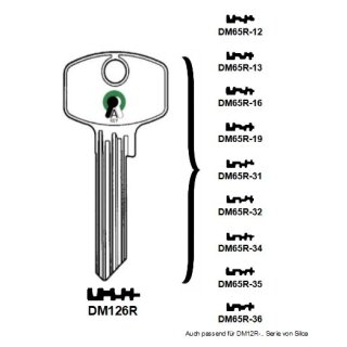 DM126R 1363%-0 DOM-40 DM1024PPR 1363%/0 bis 35  DM65R  - Universal-Zylinderschlüssel