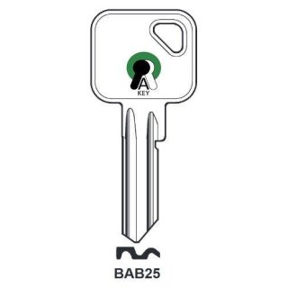 BAB25 - Zylinderschlüssel