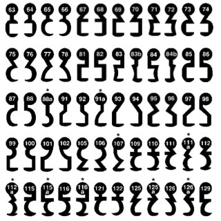 Buntbartschlüssel Art.6  Nr180
