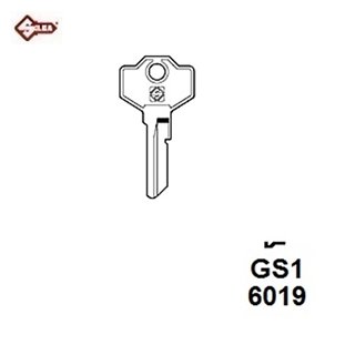 GS1 -  Zylinderschlüssel