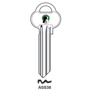 ASS38 Anlagenschlüssel